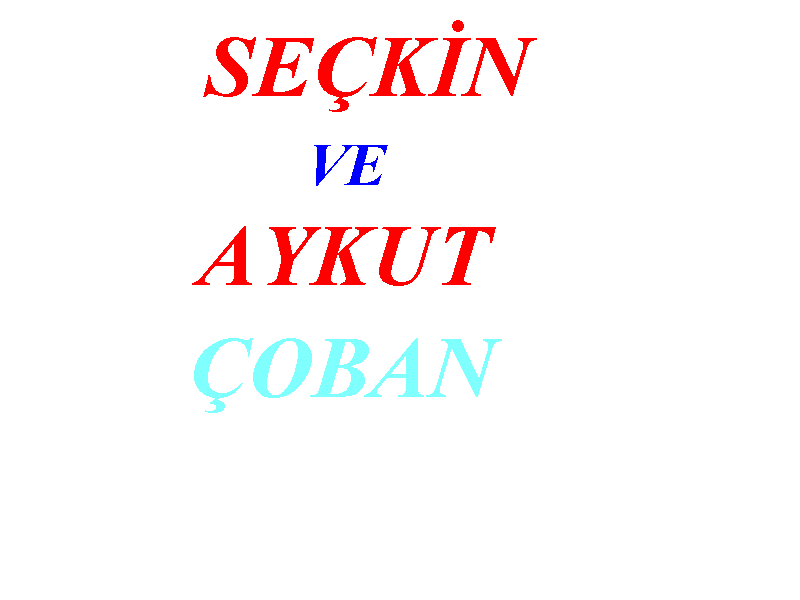 SECKIN.GIF